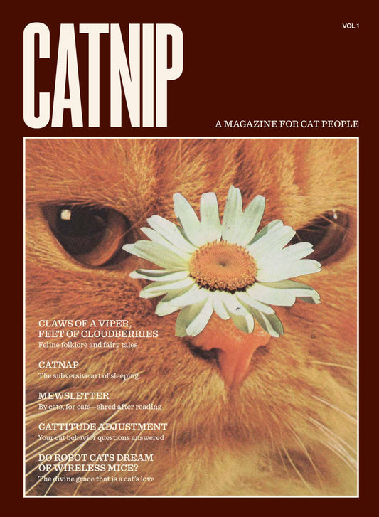 Magazine cover titled 'Catnip' with a cat wearing a daisy flower on a brown background