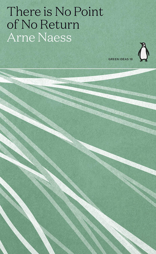 Cover of the book 'There is No Point of No Return' by Arne Naess with a green background and white diagonal lines.
