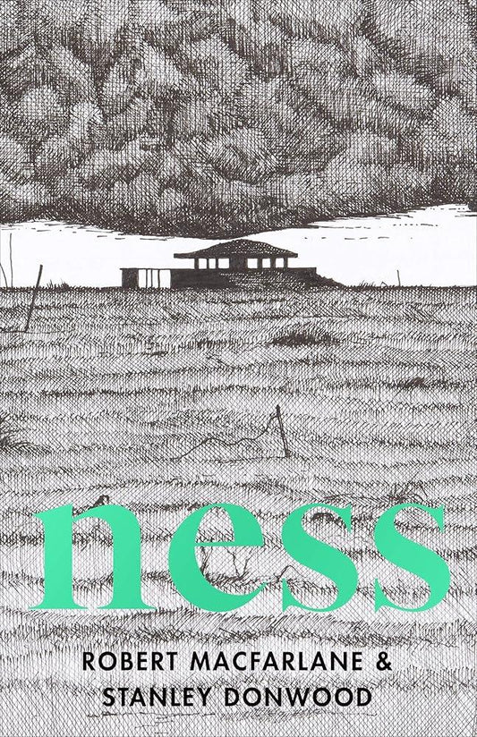 Book cover of 'Ness' featuring a black and white illustration of a ruined concrete structure by a body of water, with a title text overlaid on the image.