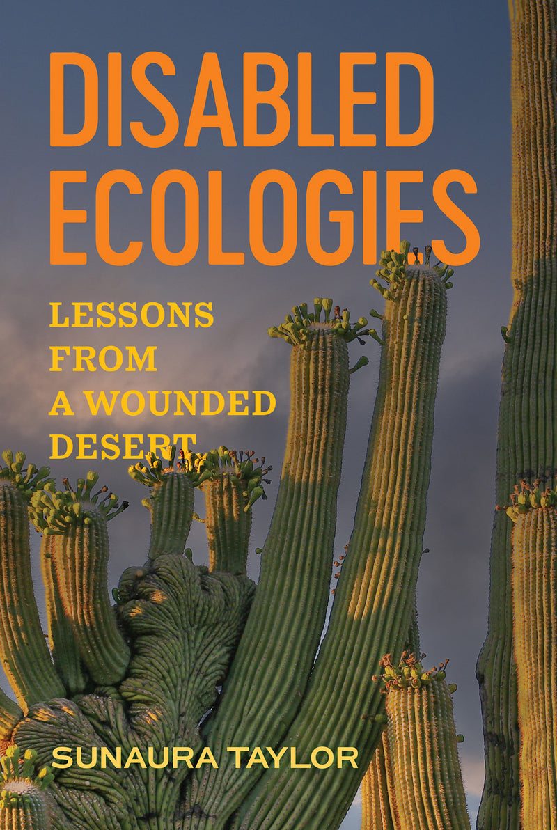 Disabled Ecologies: Lessons from a Wounded Desert
