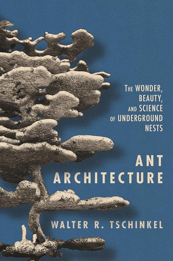 Ant Architecture: The Wonder, Beauty, and Science of Underground Nests