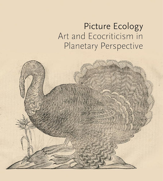 Picture Ecology: Art and Ecocriticism in Planetary Perspective cover image