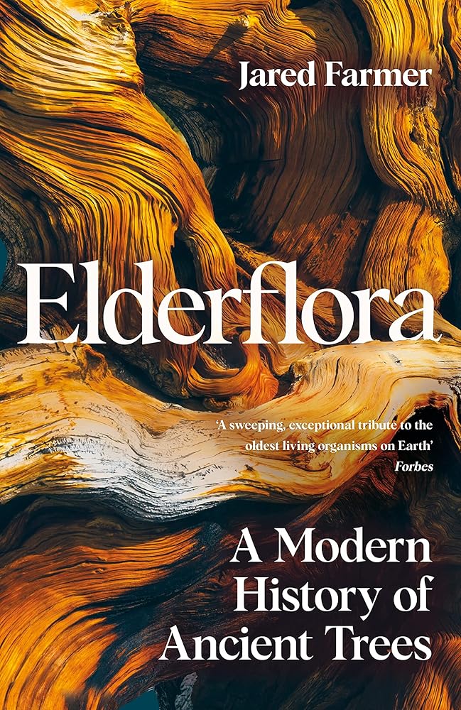 Elderflora