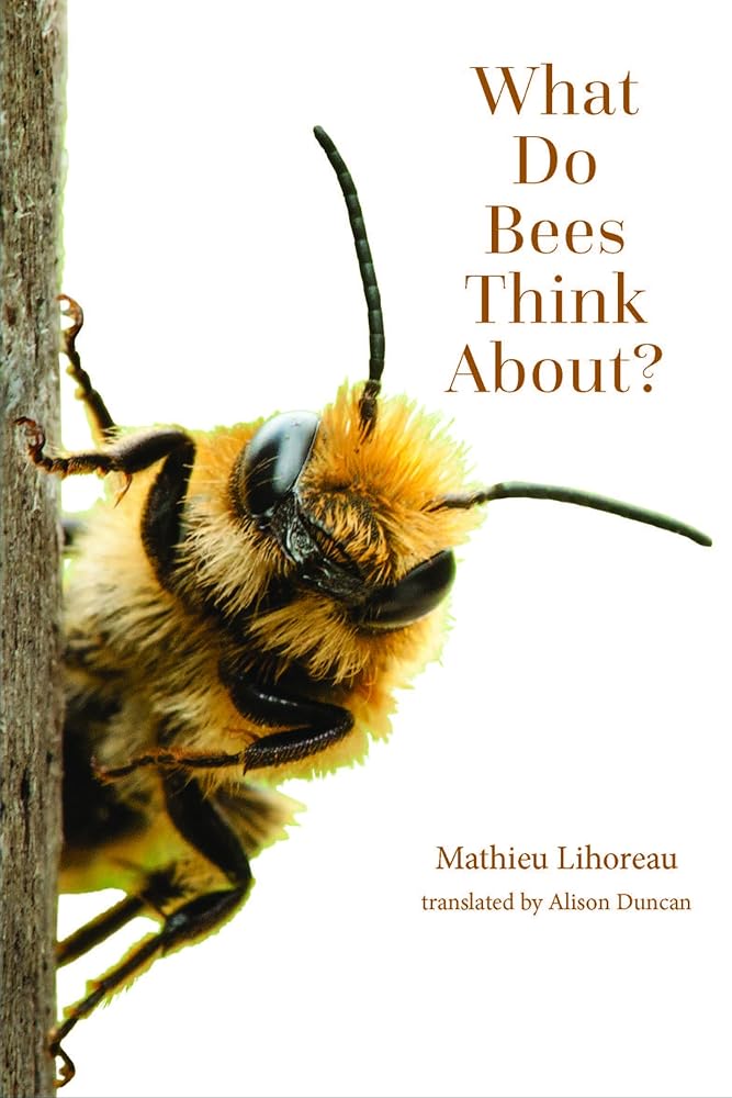 What Do Bees Think About? (Animal Worlds)