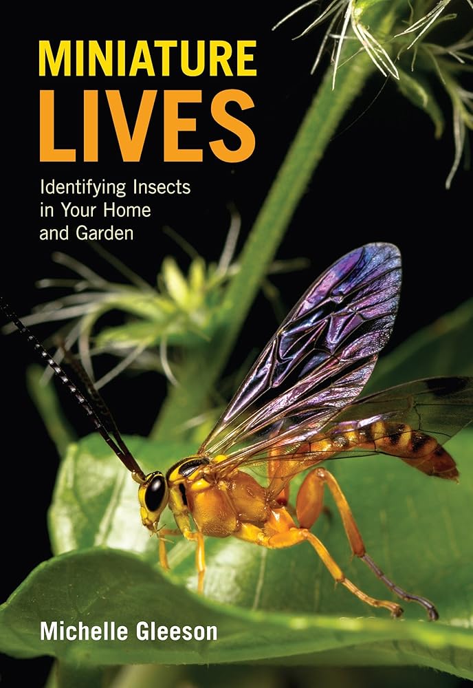 Miniature Lives [OP]: Identifying Insects in Your Home and Garden