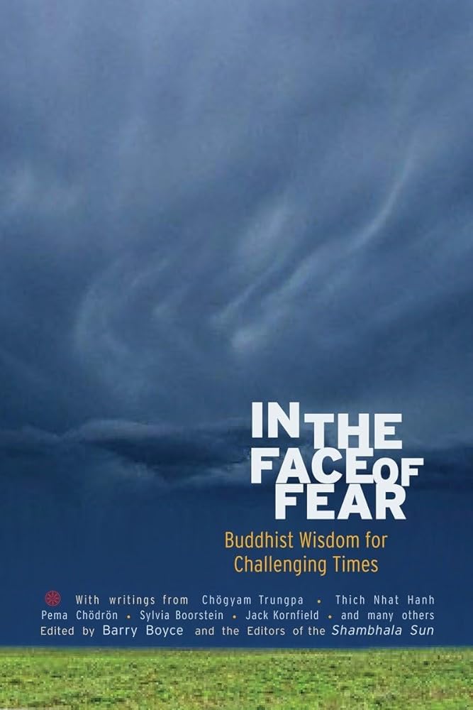 In the Face of Fear: Buddhist Wisdom for Challenging Times (A Shambhala Sun Book)