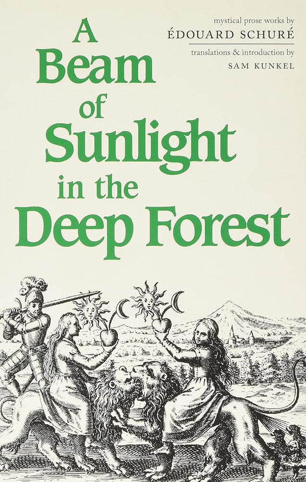 A Beam of Sunlight in the Deep Forest