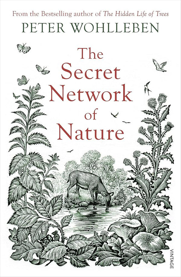 The Secret Network of Nature: The Delicate Balance of All Living Things