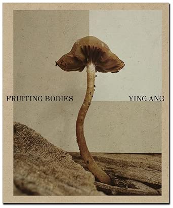 Ying Ang - Fruiting Bodies