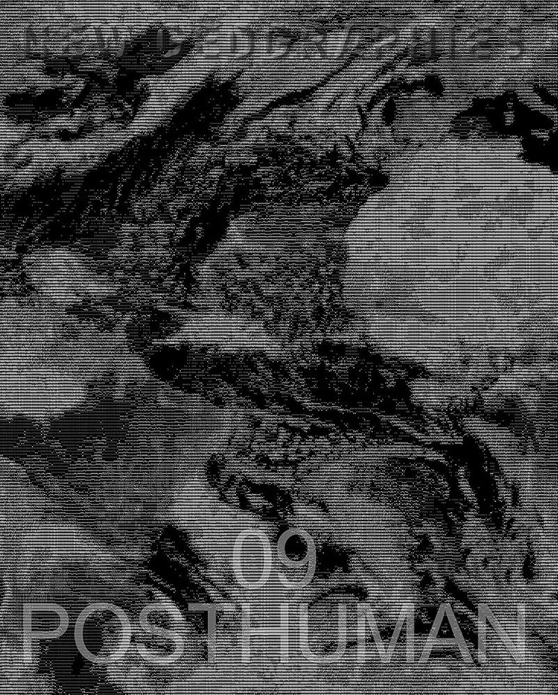 New Geographies 09: Posthuman