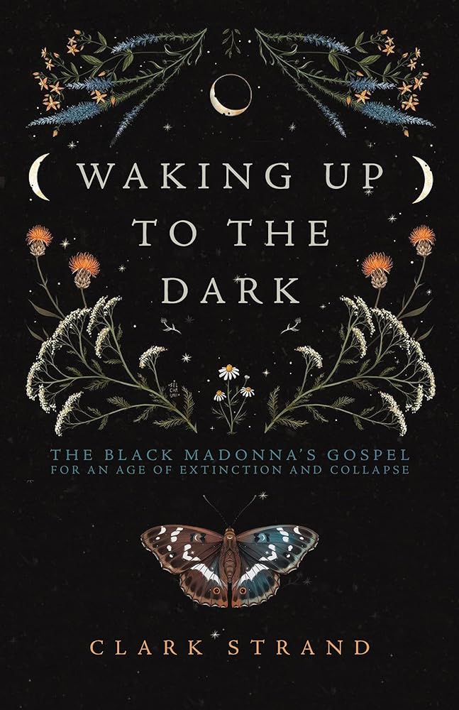 Waking Up to the Dark: The Black Madonna's Gospel for An Age of Extinction and Collapse