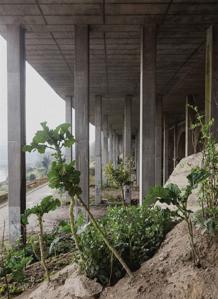 Notes from the Underdog: Agriculture for subsistence in Porto
