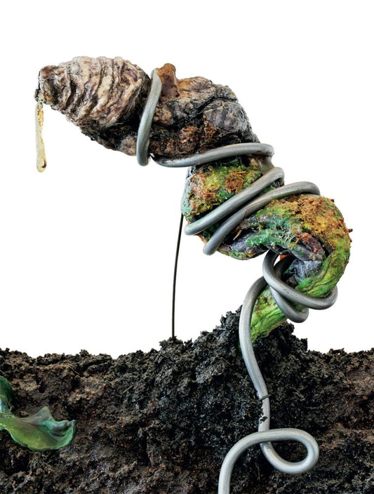 An artwork image featuring a piece from Tetsumi Kudo's retrospective, depicting an abstract, possibly neon-lit form emerging from soil, reflecting the artist's provocative and metamorphic themes.