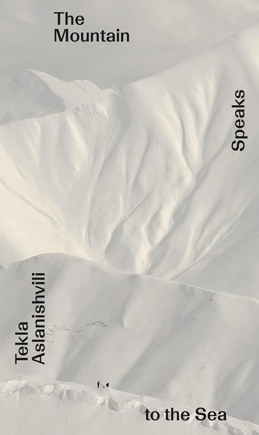 Book cover of 'The Mountain Speaks to the Sea' by Tekla Astanishvili with mountainous landscape.