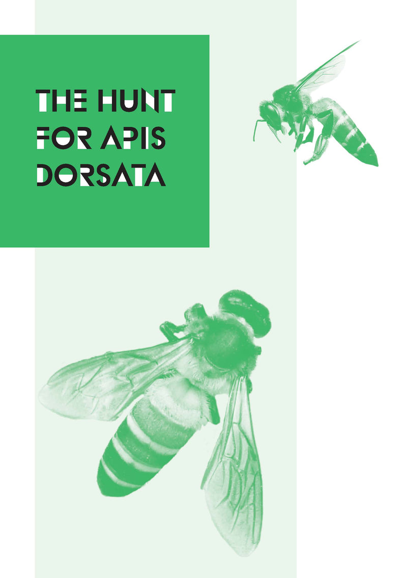 The Hunt for Apis Dorsata