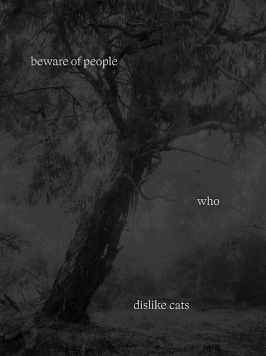 This image features a striking book cover for "Beware Of People Who Dislike Cats." The cover depicts a dark, foreboding forest scene with a large, gnarled tree looming in the center.