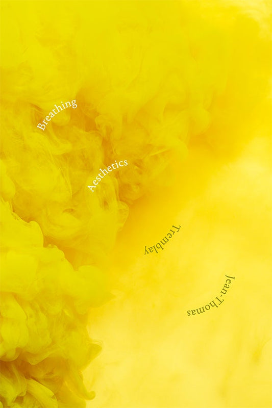A book cover with a yellow textured background and the title 'Breathing Aesthetics' along with some text in a foreign language.