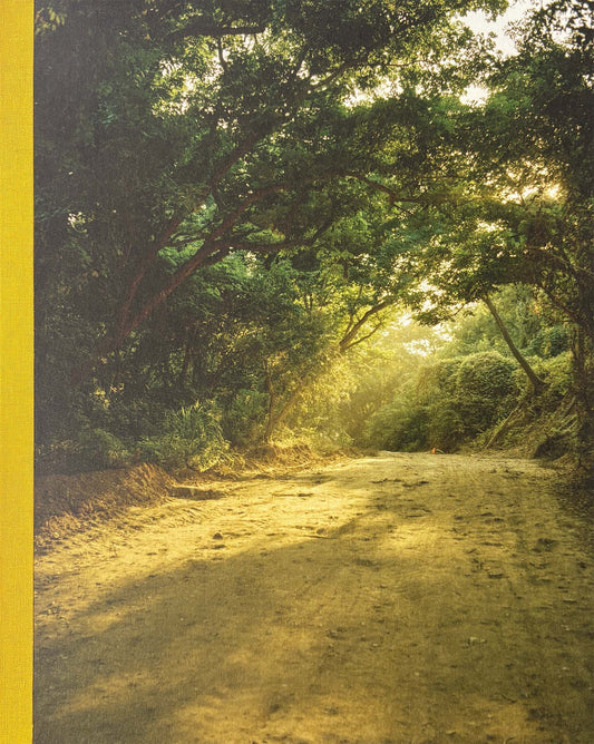 Winding dirt path through a dense forest with sunlight filtering through the trees.