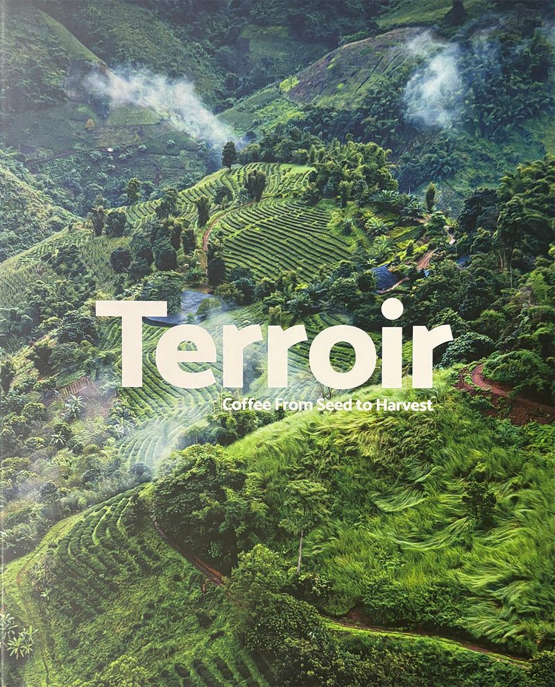 Terroir: An Enlightening Journey Through the World of Coffee Cultivation, From the Soil to Your Cup