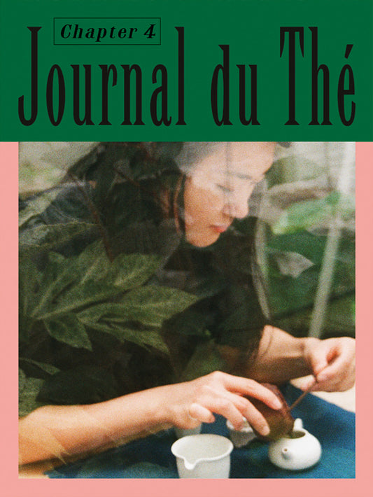 Book cover of 'Journal du Thé' with a person preparing tea, green and pink border.