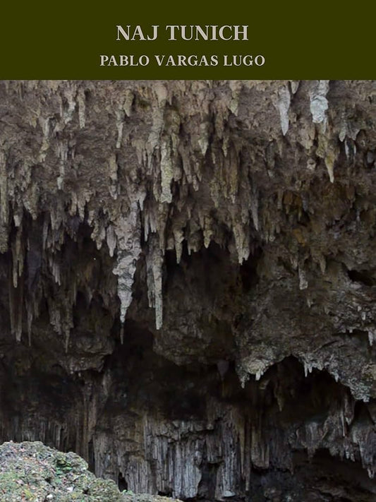 Book cover of 'Naj Tunich' featuring a black and white photograph of a cave with hanging stalactites.