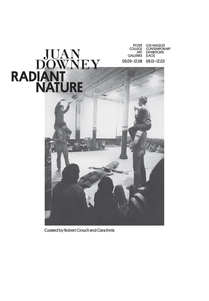Juan Downey: Radiant Nature