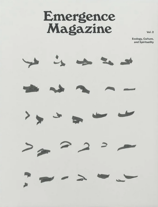 Cover of Emergence Magazine Vol 2 featuring a title and subtitle, with a design of multiple abstract shapes arranged in a visually appealing layout.