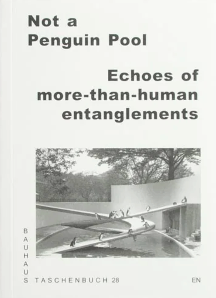 Not a Penguin Pool Echoes of More-Than-Human Entanglements