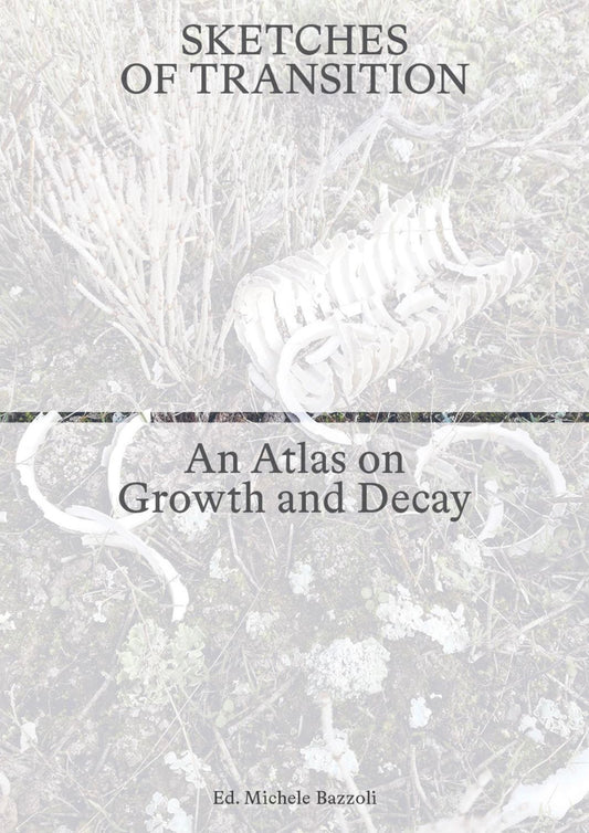 Book cover of 'Sketches of Transition: An Atlas on Growth and Decay' with a textured background.