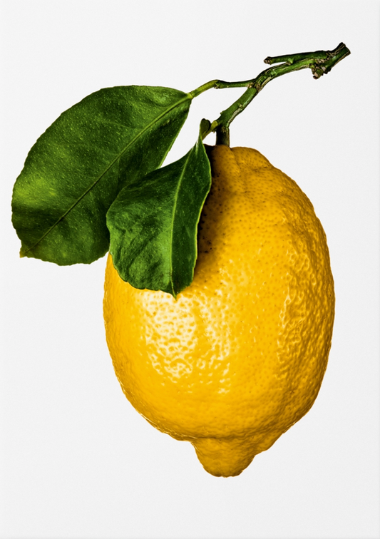 The Gourmand's Lemon: A Collection of Stories and Recipes