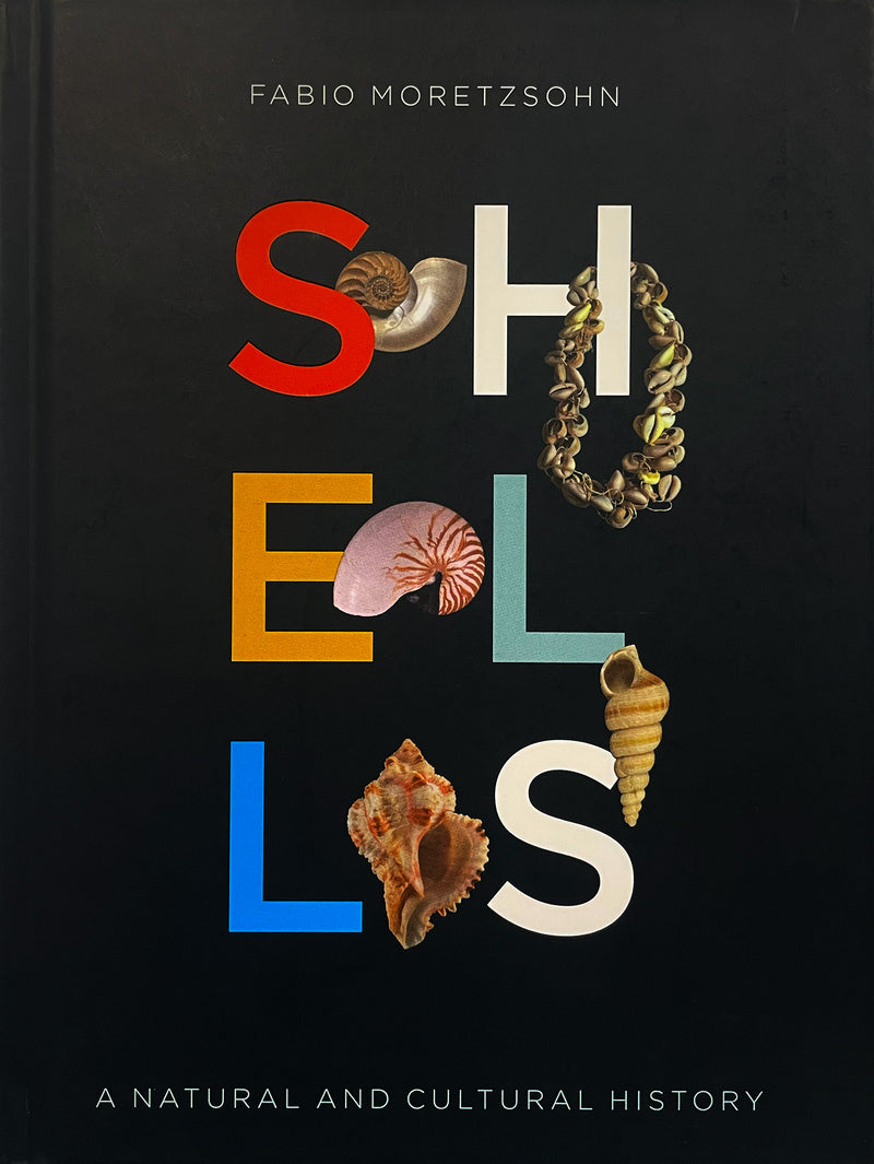 Shells