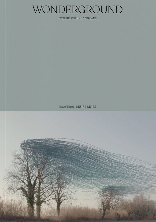 Magazine cover titled 'Wonderground' with a landscape of trees and abstract lines.