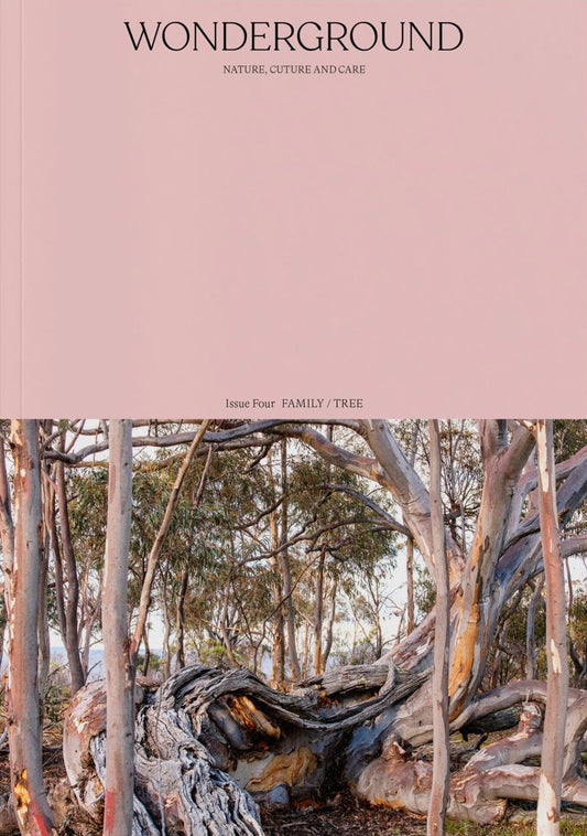 Cover image of Wonderground Magazine issue 4