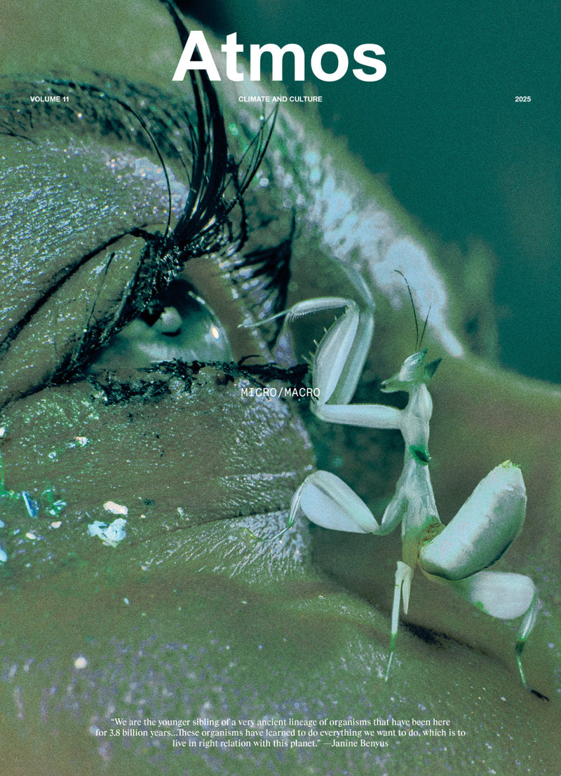 Atmos Vol 11 Micro/Macro - Cover 01