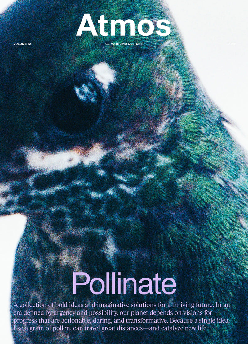 Atmos Vol 12 Pollinate - Cover 02