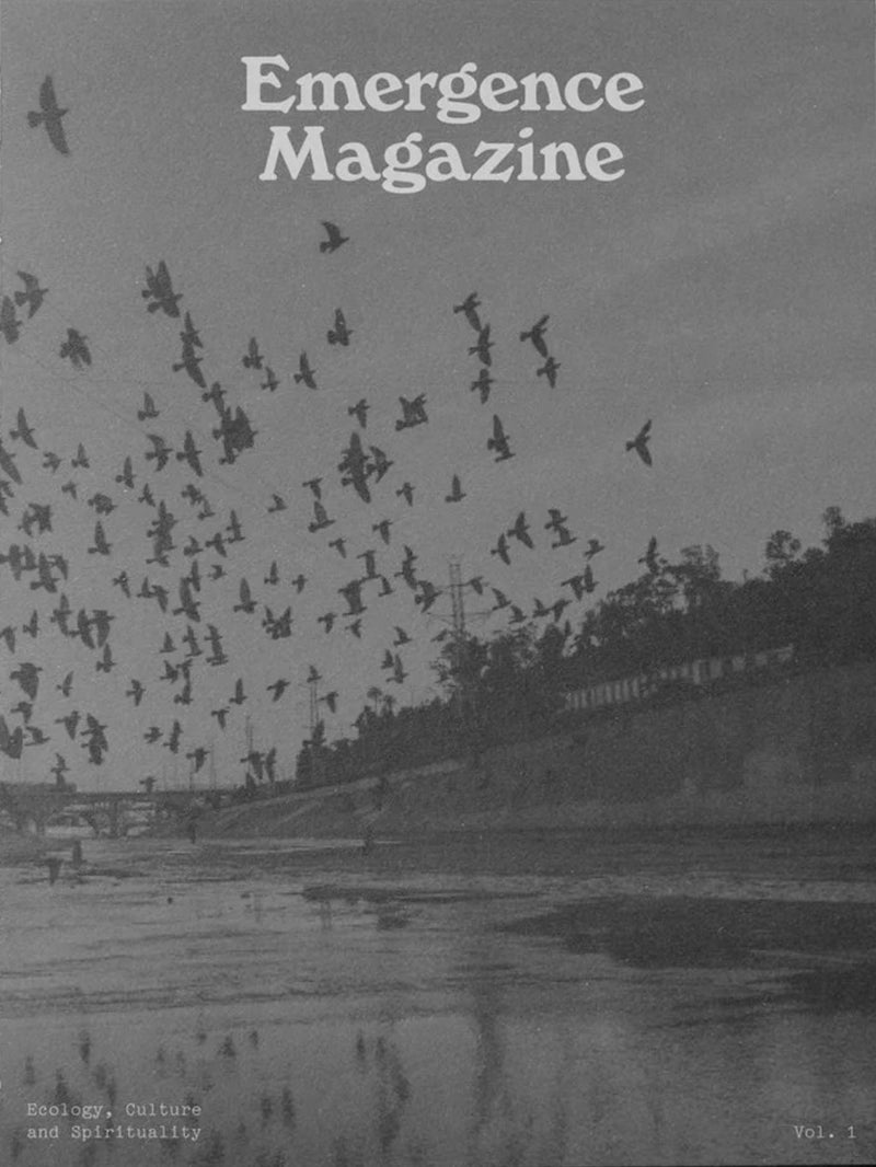 Emergence Magazine Vol 1