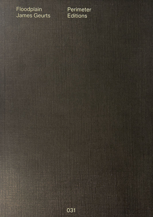 Book cover with text 'Floodplain James Geurts Perimeter Editions' on a dark brown background